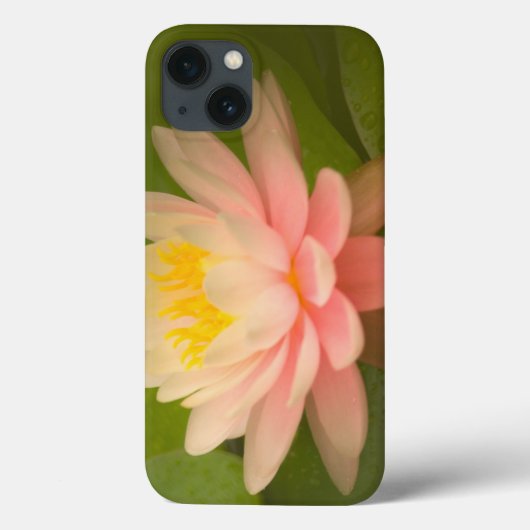 Vereinte Staaten, Maryland, Westminster, Gewerksch Case-Mate iPhone Hülle (Rückseite)