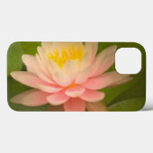 Vereinte Staaten, Maryland, Westminster, Gewerksch Case-Mate iPhone Hülle (Rückseite (Horizontal))