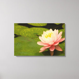 Vereinte Staaten, Maryland, Westminster, Gewerksch Leinwanddruck