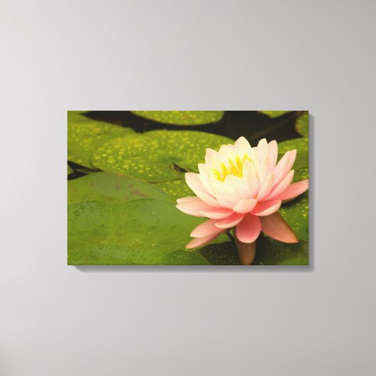 Vereinte Staaten, Maryland, Westminster, Gewerksch Leinwanddruck (Vorderseite)