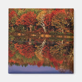 Vereinte Staaten, Michigan, Oberhalbinsel. Fall Magnet (Vorne)