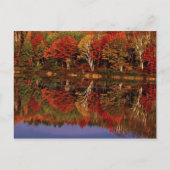 Vereinte Staaten, Michigan, Oberhalbinsel. Fall Postkarte (Vorderseite)