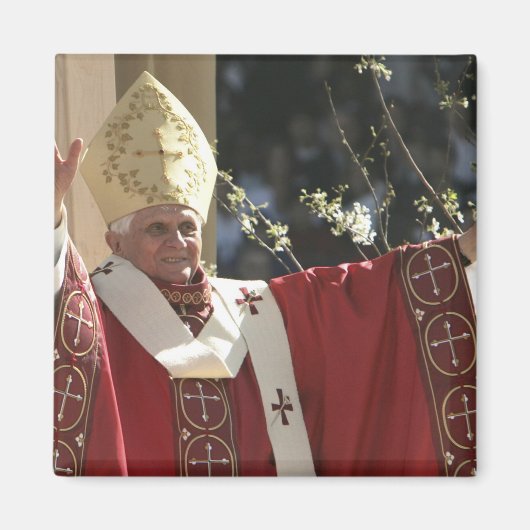 Vereinte Staaten, Washington, D.C. Papst Benedikt Magnet (Vorne)