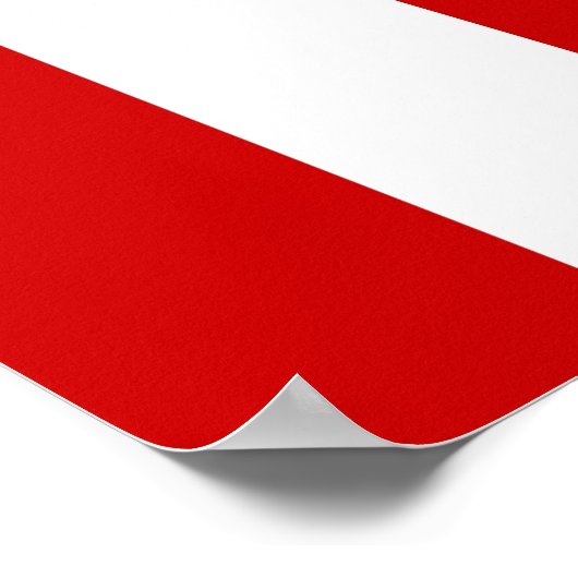 Vereinte Staaten Zivile Flaggensöhne der Freiheit Poster (Ecke)