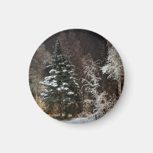 Vereiste Winterwald-Ästhetik Magnet