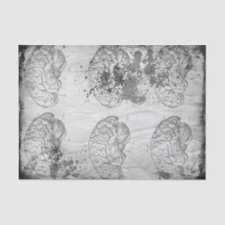 Verfallenes Brainz Seidenpapier 10" x 15"