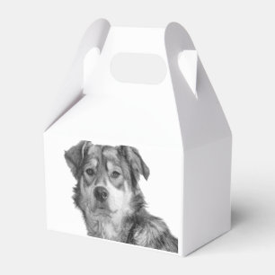 Verfeinertes monochromes großes Mischlingshund-Ras Geschenkschachtel