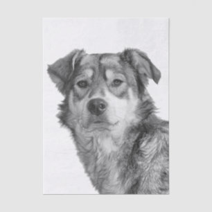 Verfeinertes monochromes großes Mischlingshund-Ras Seidenpapier