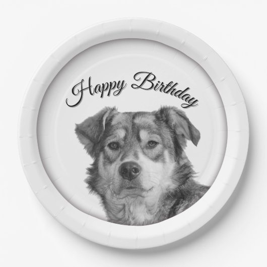 Verfeinertes monochromes Mischlingshund-Geburtstag Pappteller (Vorderseite)