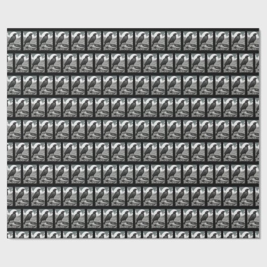 verfluchte Federn Geschenkpapier (Flach)