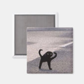 Verfluchte Katzen-Meme Magnet (Vorderseite/Rückseite)