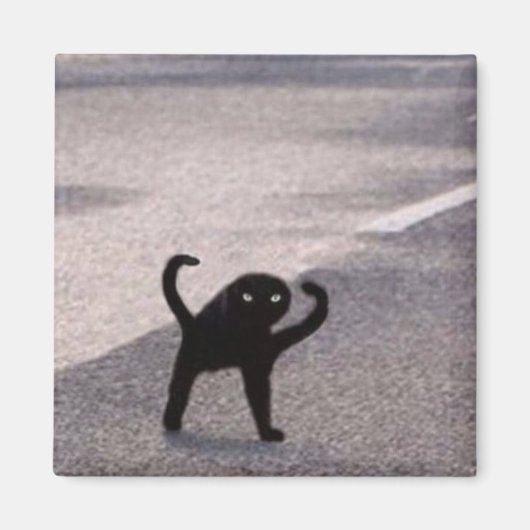Verfluchte Katzen-Meme Magnet (Vorne)