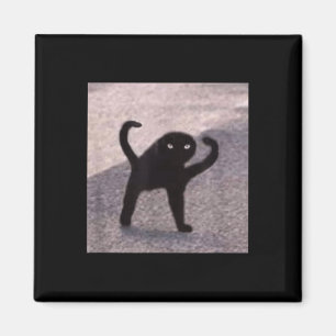 Verfluchte Katzenmeme verfluchten Katzenwut als gu Magnet