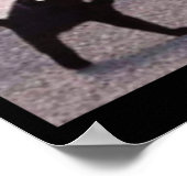 Verfluchte Katzenmeme verfluchten Katzenwut als Me Poster (Ecke)