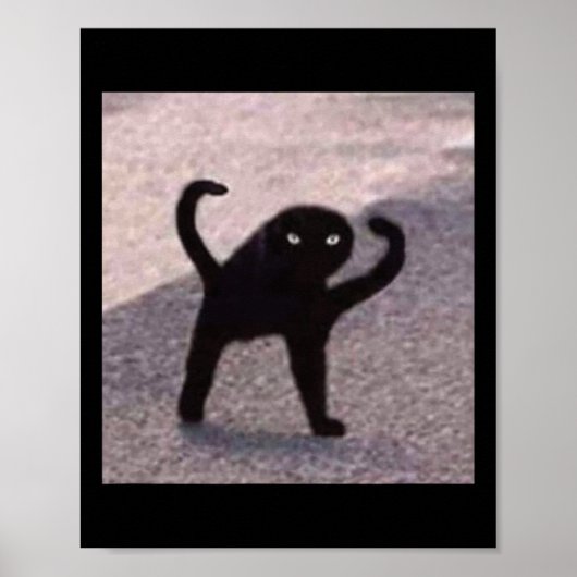 Verfluchte Katzenmeme verfluchten Katzenwut als Me Poster (Vorne)