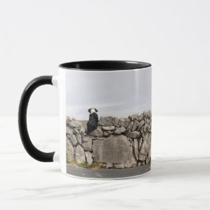 Verfolgen Sie auf einer traditionellen irischen Tasse