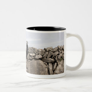 Verfolgen Sie auf einer traditionellen irischen Zweifarbige Tasse