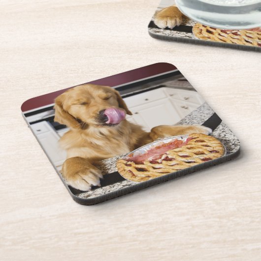 Verfolgen Sie das Lecken der Nase, nachdem Sie Untersetzer (Linke Seite)