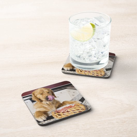 Verfolgen Sie das Lecken der Nase, nachdem Sie Untersetzer (Rechte Seite)