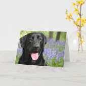 Verfolgen Sie in der Bluebells-Gruß-Karte Karte (Gelbe Blume)