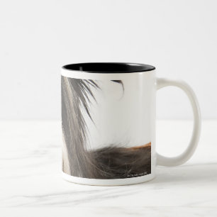 Verfolgen Sie in Korb 2 Zweifarbige Tasse