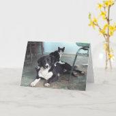 Verfolgen Sie Liebhaber, Tierliebhaber, Karte (Gelbe Blume)