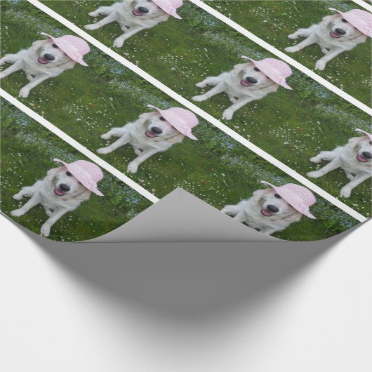 verfolgen Sie Packpapier, Ihr Haustier auf Geschenkpapier (Ecke)