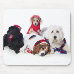 Verfolgt tragende Winterzusätze Mousepad