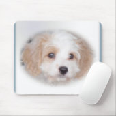 Verfolgung Cavachon Mousepad (Mit Mouse)