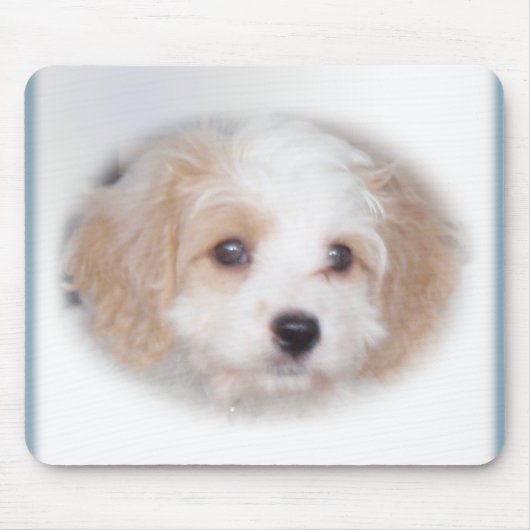 Verfolgung Cavachon Mousepad (Vorne)