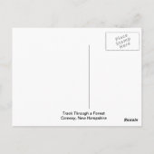 Verfolgung durch eine Forstpostkarte Postkarte (Rückseite)