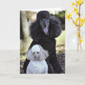 Verfolgung und Freund Karte (Gelbe Blume)