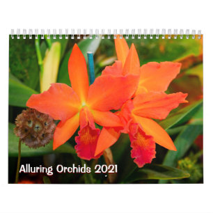 Verführerische Orchideen 2021 Kalender