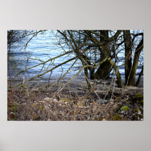 Vergangene Orte , alte Bäume am Ufer des Flusses Poster