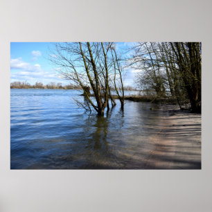 Vergangene Orte , alte Bäume am Ufer des Flusses Poster