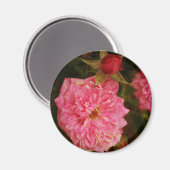 Vergangenheit Magnet (Vorderseite/Rückseite)