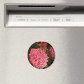 Vergangenheit Magnet (In Situ (Geschirrspüler))