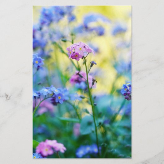 Vergessen-Ich-Nicht-Blume Briefpapier (Vorderseite)