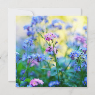 Vergessen-Ich-Nicht-Blume Karte