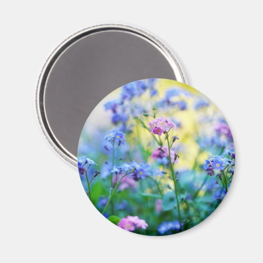 Vergessen-Ich-Nicht-Blume Magnet (Vorderseite/Rückseite)