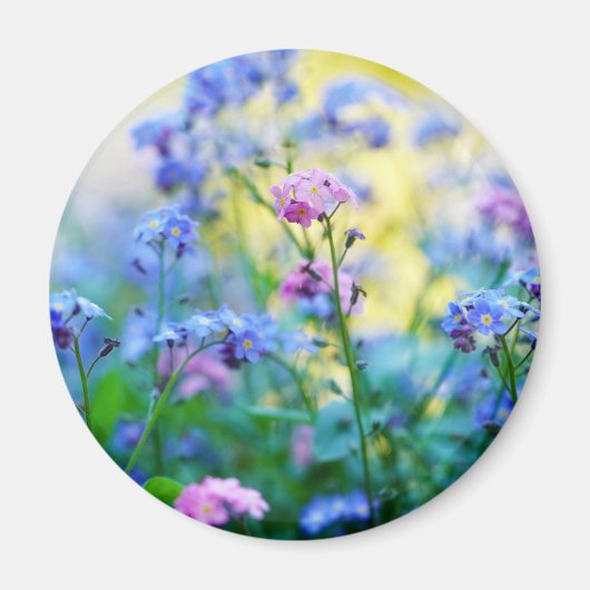 Vergessen-Ich-Nicht-Blume Magnet (Vorne)