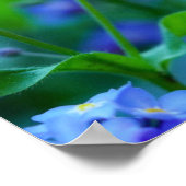 Vergessen-Ich-Nicht-Blume Poster (Ecke)