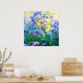 Vergessen-Ich-Nicht-Blume Poster (Küche)