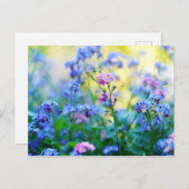 Vergessen-Ich-Nicht-Blume Postkarte (Vorne/Hinten)