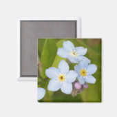 Vergessen-ich-nicht-Magnet Magnet (Vorderseite/Rückseite)
