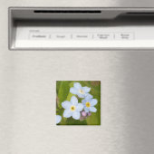 Vergessen-ich-nicht-Magnet Magnet (In Situ (Geschirrspüler))