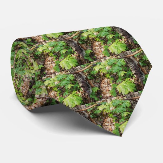 Vergessen Krawatte (Gerollt)