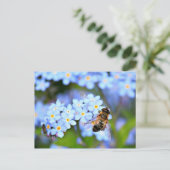 Vergessen-Me-Not-Blume mit Hoverfly Postkarte (Stehend Vorderseite)