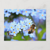 Vergessen-Me-Not-Blume mit Hoverfly Postkarte (Vorderseite)