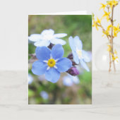 Vergessen-Me-Not-Karte Karte (Gelbe Blume)